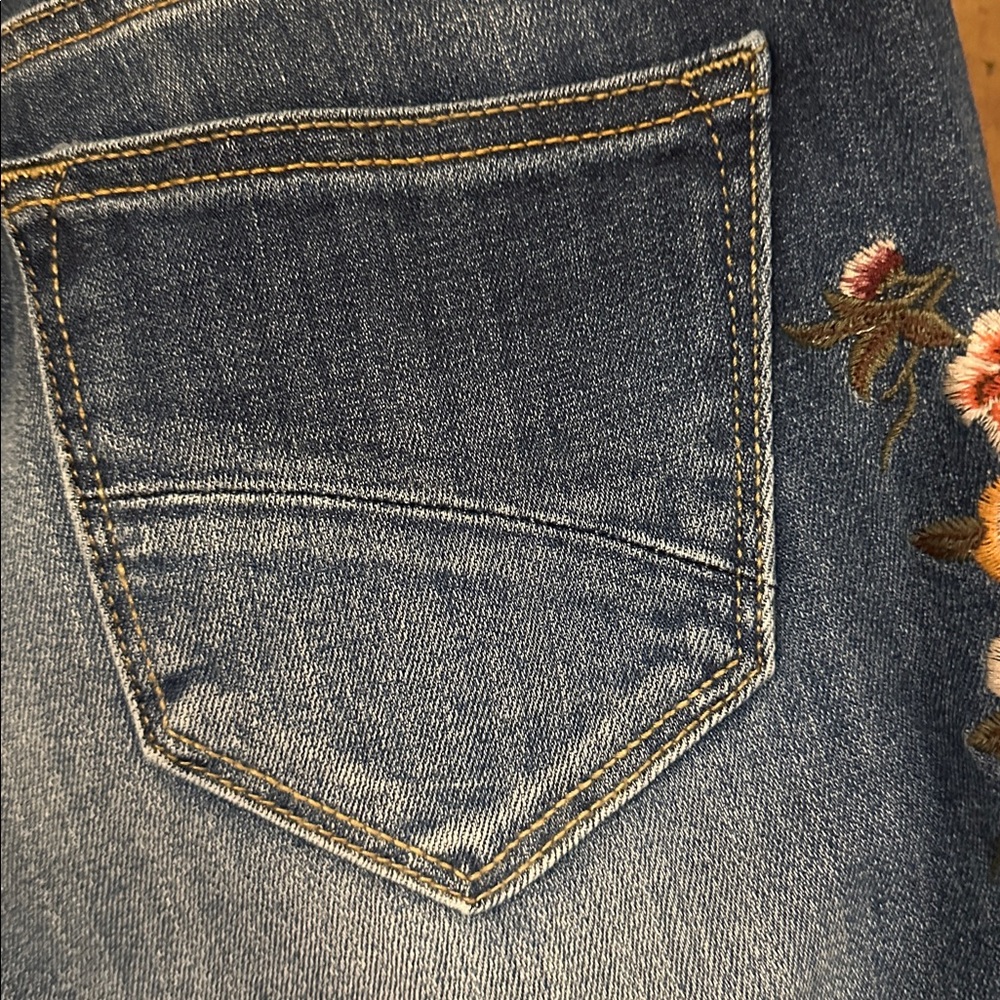NEW Driftwood Embroidered Jackie Skinny Jean Tobacco & Wine Was Blue Jeans 28 - Picture 14 of 17